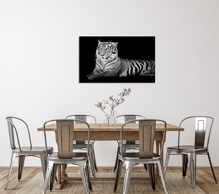 WEB 02 0002 ML 0019 15718890 black and white grand tiger AOAY4489