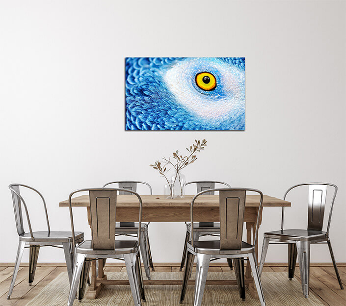 WEB 02 0005 ML 0016 25024256 beautiful parrot eye AOAY4497