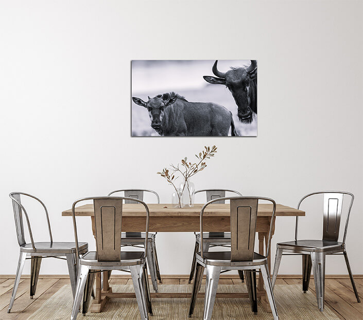 WEB 02 0029 ML 0029 10054512 wildlife blue wildebeest calf animals W&B AOAY4481