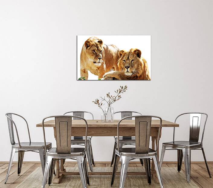 WEB 02 0030 ML 0028 10088566 2 lions family portrait AOAY4483