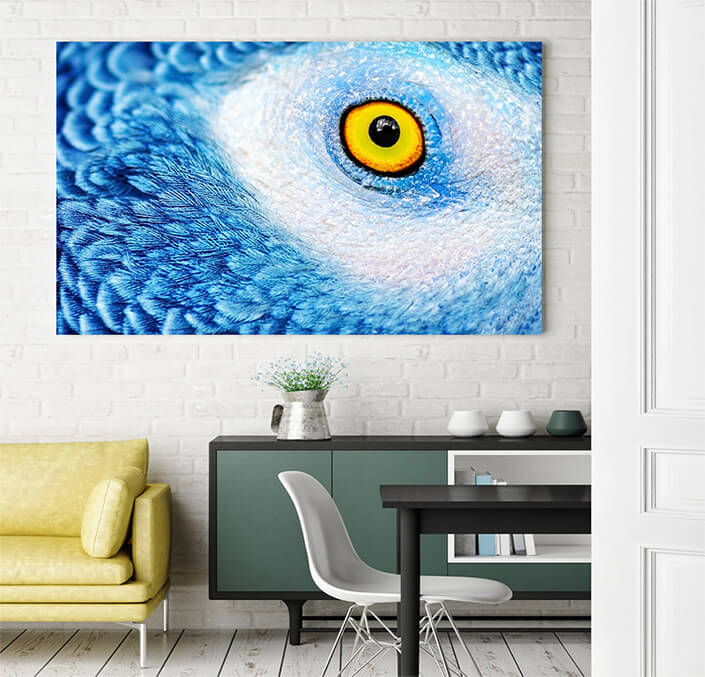 WEB 03 0005 ML 0016 25024256 beautiful parrot eye AOAY4497