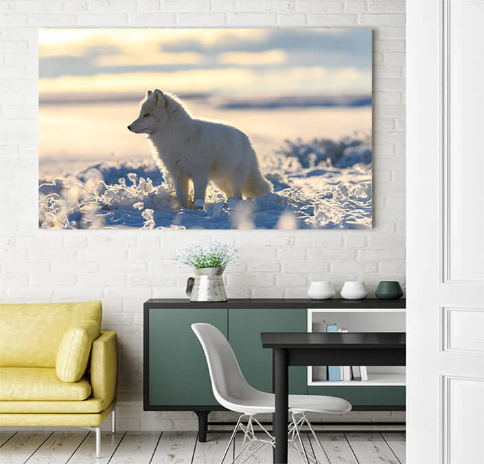 WEB 03 0015 ML 0006 44647754 arctic fox in winter time in siberian tundra AOAY3517