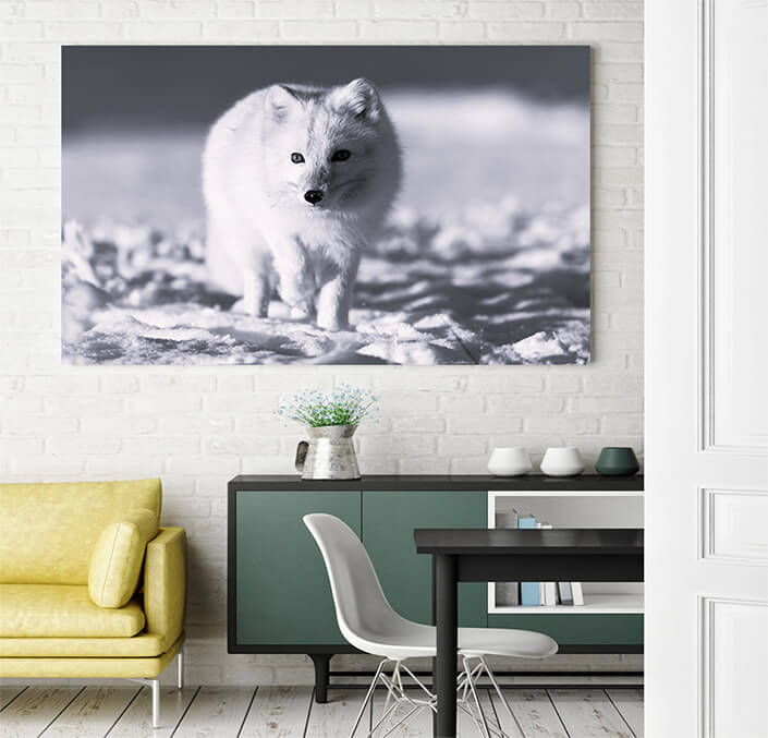 WEB 03 0017 ML 0004 44648192 arctic fox in winter time in siberian tundra close up AOAY3519