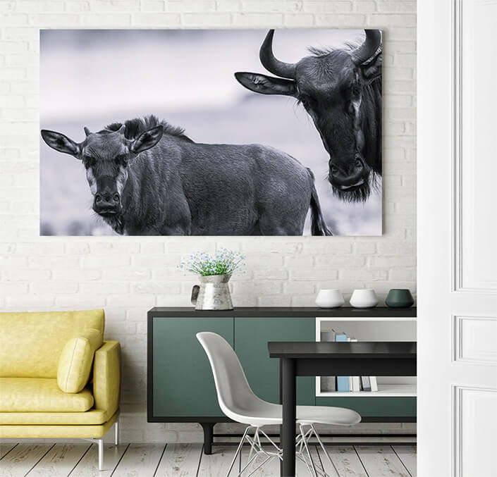 WEB 03 0029 ML 0029 10054512 wildlife blue wildebeest calf animals W&B AOAY4481