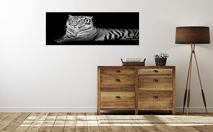 WEB 04 0001 ML 0019 15718890 black and white grand tiger AOAY4489