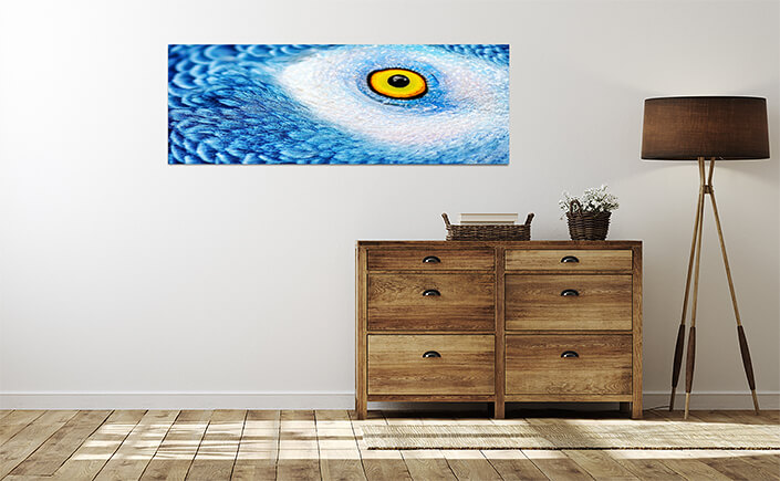 WEB 04 0004 ML 0016 25024256 beautiful parrot eye AOAY4497
