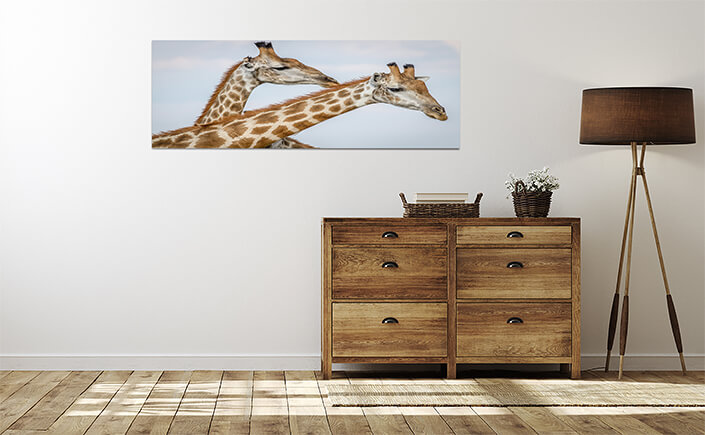 WEB 04 0006 ML 0014 25416150 close up of three giraffes in chobe AOAY4499