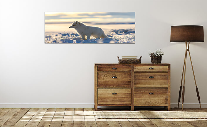 WEB 04 0014 ML 0006 44647754 arctic fox in winter time in siberian tundra AOAY3517