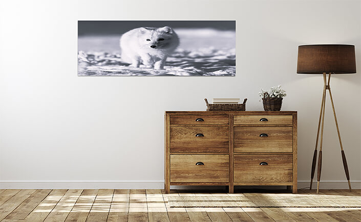 WEB 04 0016 ML 0004 44648192 arctic fox in winter time in siberian tundra close up AOAY3519