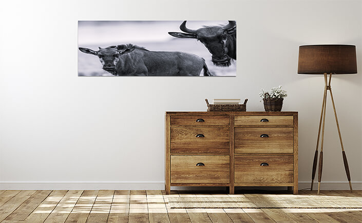 WEB 04 0028 ML 0029 10054512 wildlife blue wildebeest calf animals W&B AOAY4481