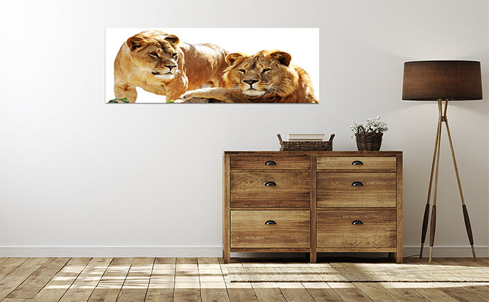 WEB 04 0029 ML 0028 10088566 2 lions family portrait AOAY4483