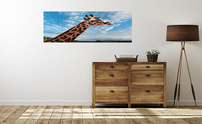 WEB 04 0034 ML 0023 15121172 portrait of a young giraffe AOAY4485