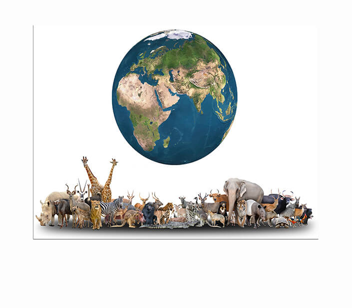 WEB 05 0003 ML 0018 18374596 animal of the world with planet earth AOAY3509