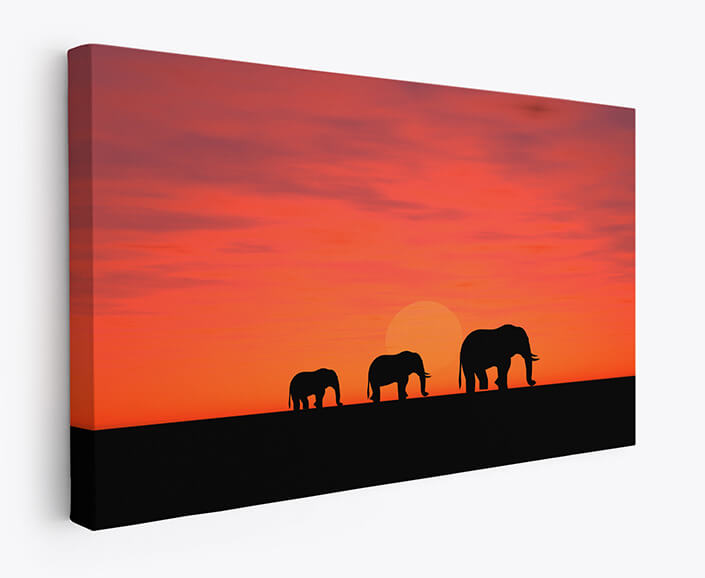 WEB 07 0020 M1 ML 0035 2145231 elephants on a sundown AOAY4464