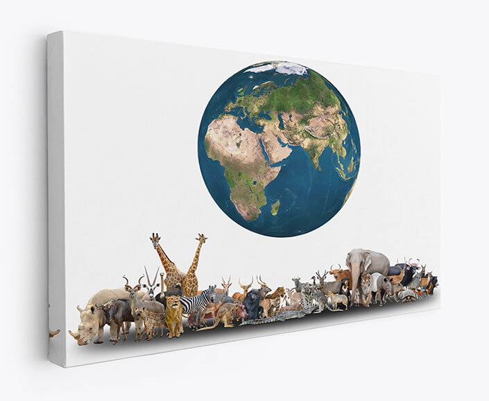 WEB 07 0035 M1 ML 0018 18374596 animal of the world with planet earth AOAY3509