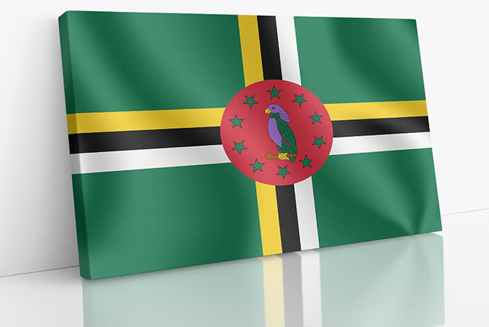 M01 web 0000 e1 0020 commonwealth of dominica waving flag aoay4239