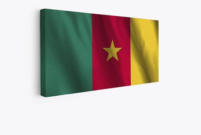 M01 web 0006 e1 0004 cameroon waving flag aoay4256