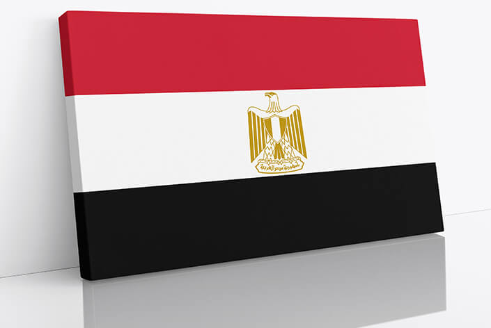 M01 WEB 0043 E1 0013 Egypt Flag AOAY4226