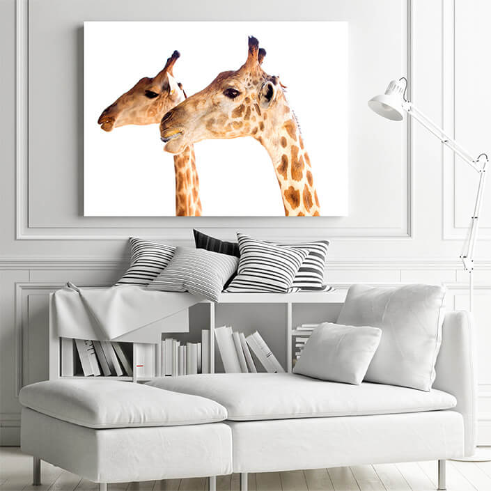 M1 0000 MP 0028 37893042 02 giraffe head AOAY4531