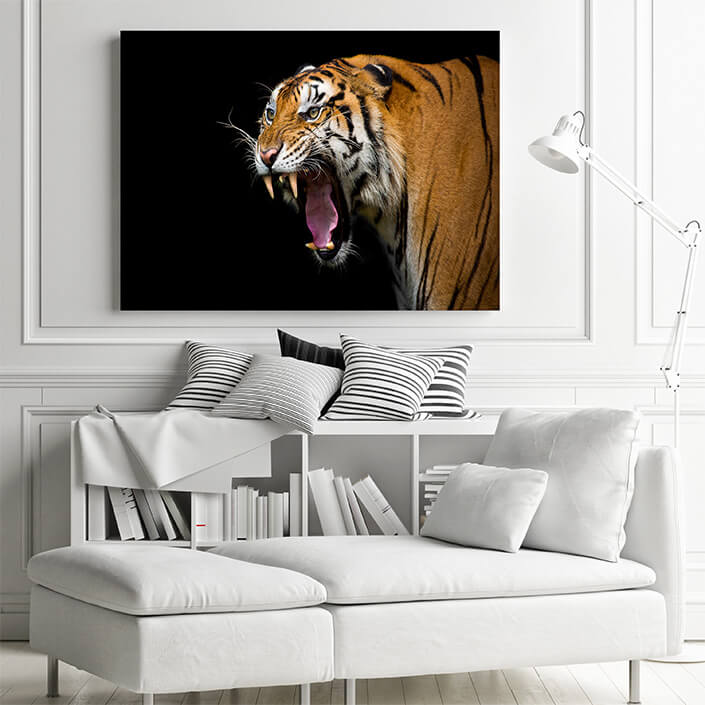 M1 0026 MP 0024 37844840 sumatran tiger roaring AOAY4528