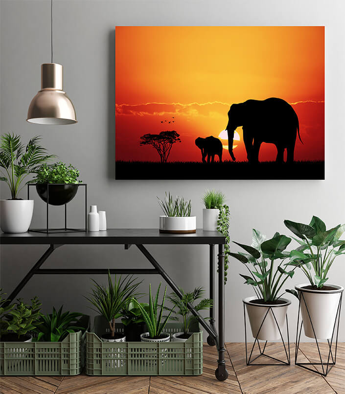 M2 0009 MP 0007 22684956 elephants in african AOAY4494