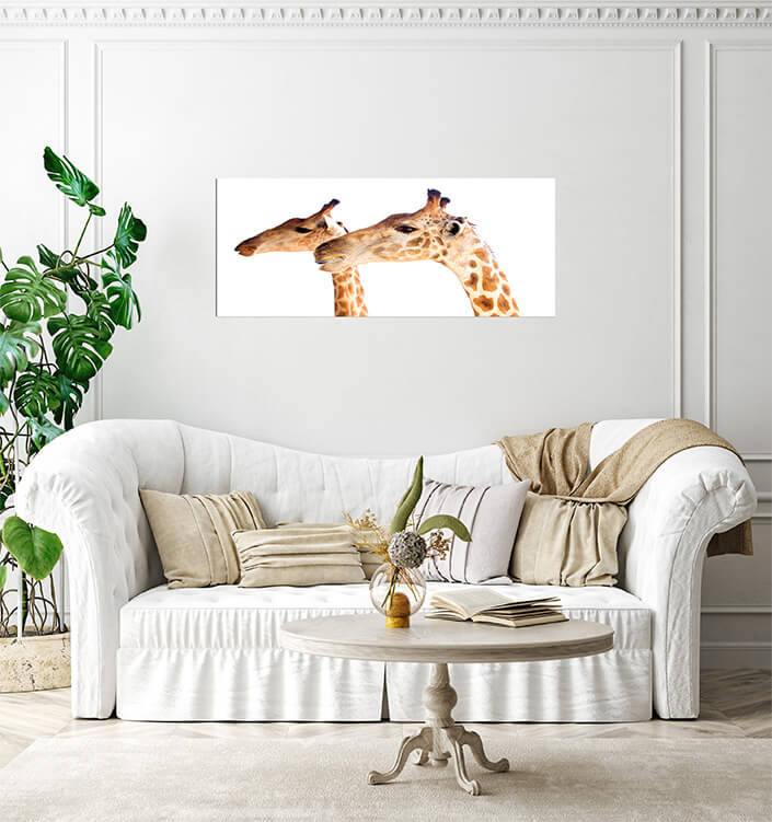 M3 0000 MP 0028 37893042 02 giraffe head AOAY4531