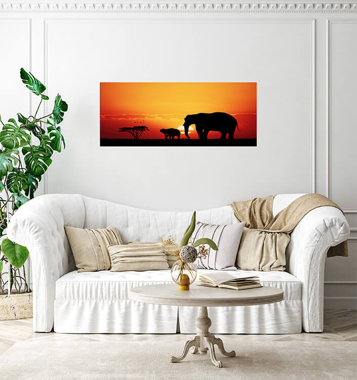 M3 0009 MP 0007 22684956 elephants in african AOAY4494