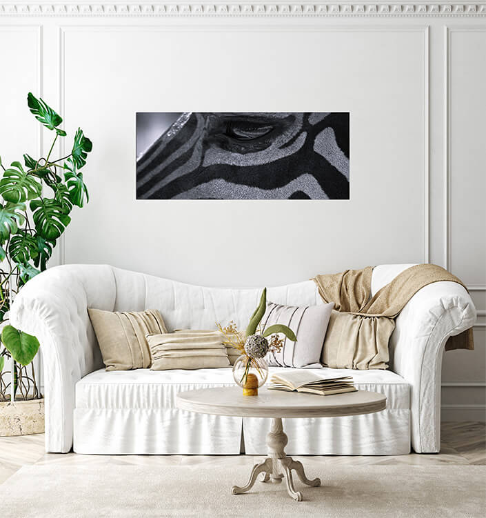 M3 0011 MP 0009 28131932 zebras eye W&B AOAY4506