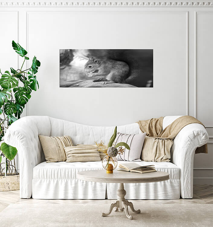 M3 0019 MP 0017 34141464 a squirrel sits on a stone and eats a nut black and white photo AOAY4518