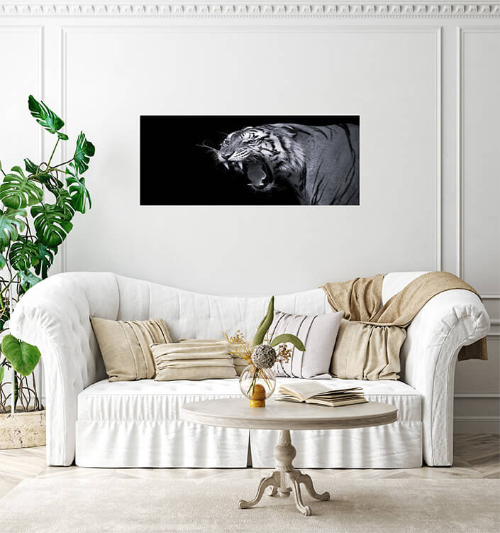 M3 0027 MP 0025 37844840 sumatran tiger roaring B&W AOAY4527