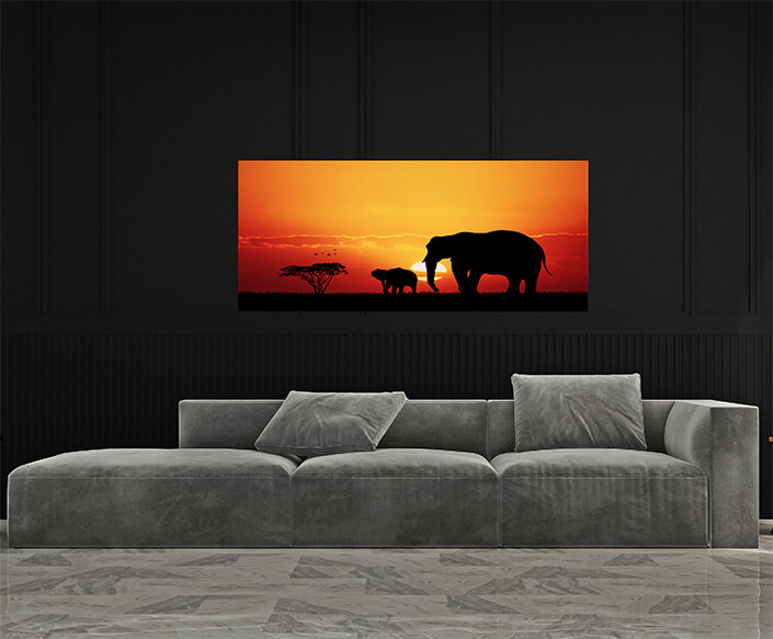 M4 0009 MP 0007 22684956 elephants in african AOAY4494
