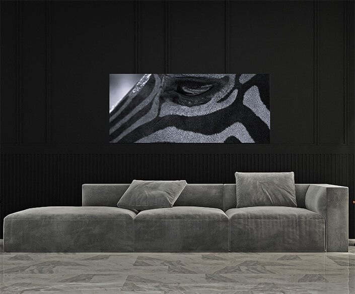 M4 0011 MP 0009 28131932 zebras eye W&B AOAY4506