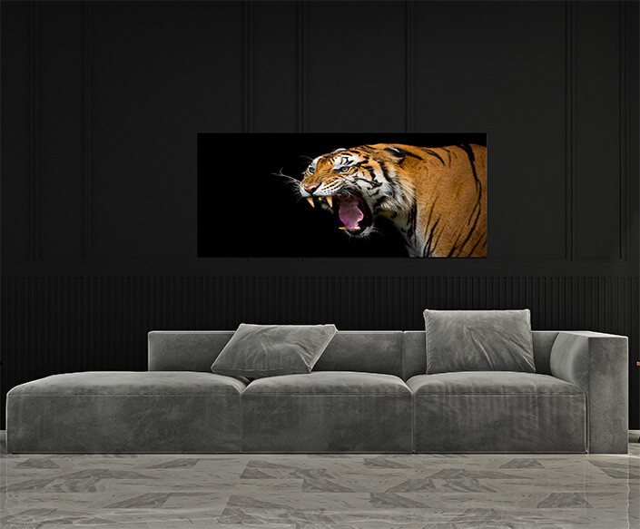 M4 0026 MP 0024 37844840 sumatran tiger roaring AOAY4528