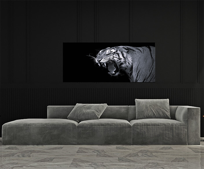 M4 0027 MP 0025 37844840 sumatran tiger roaring B&W AOAY4527