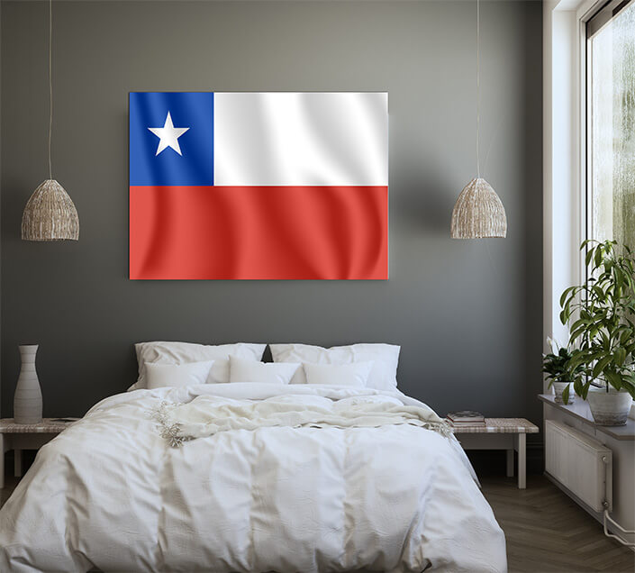 M4 0030 MP 0002 Chile Waving Flag AOAY4148
