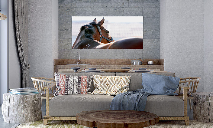 M5 0002 MP 0000 2902625 horse 02 AOAY4469