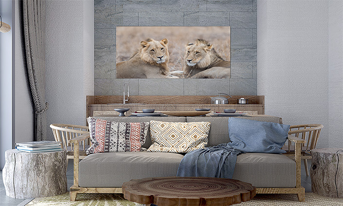 M5 0012 MP 0010 29891610 male lions in the wilderness AOAY4507