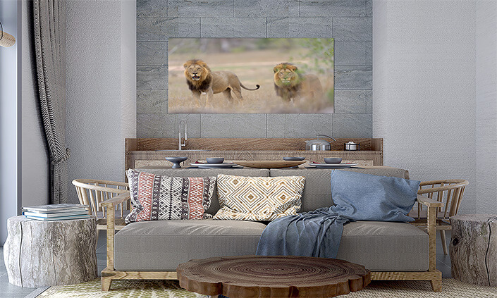 M5 0014 MP 0012 29891648 male lions in the wilderness 02 AOAY4509