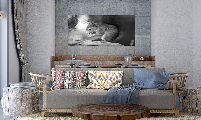 M5 0019 MP 0017 34141464 a squirrel sits on a stone and eats a nut black and white photo AOAY4518