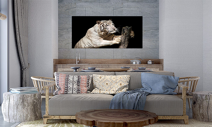 M5 0028 MP 0026 37846274 big white tiger sleeps in the zoo AOAY4529
