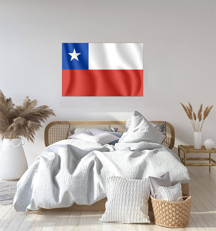 M5 0030 MP 0002 Chile Waving Flag AOAY4148