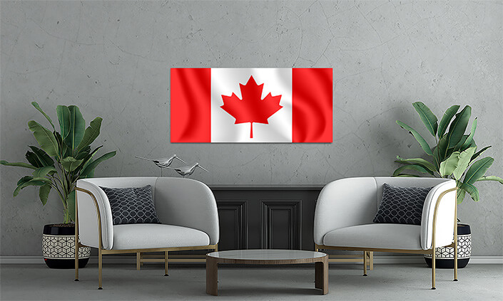 M6 0008 MP2 0002 Canada Waving Flag AOAY4249