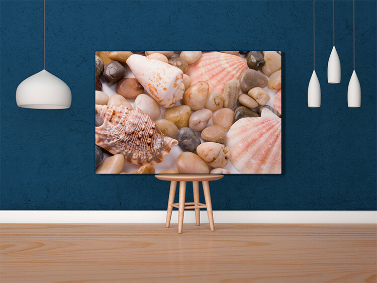 MOCKUP LANDSCAPE 0000s 0005 371178 sea shells and pebble AOAY4618