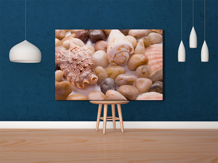 MOCKUP LANDSCAPE 0000s 0006 370468 sea shells and pebble AOAY4617