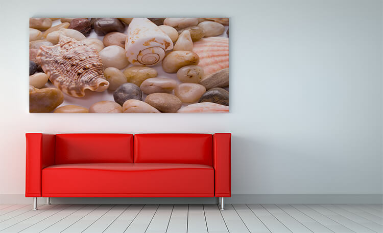 MOCKUP PANORAMIC 0006 370468 sea shells and pebble AOAY4617