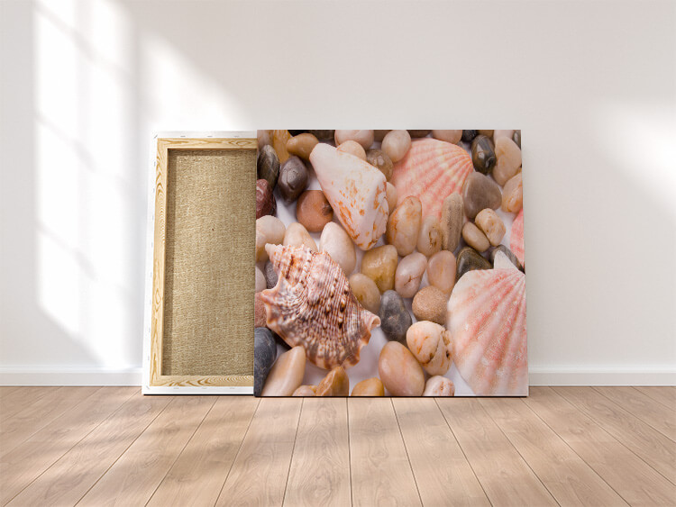 MOCKUP SQUARE 0002 371178 sea shells and pebble AOAY4618