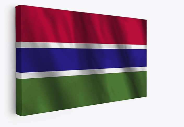 Web001 0029 mp 0020 gambia waving flag aoay4290