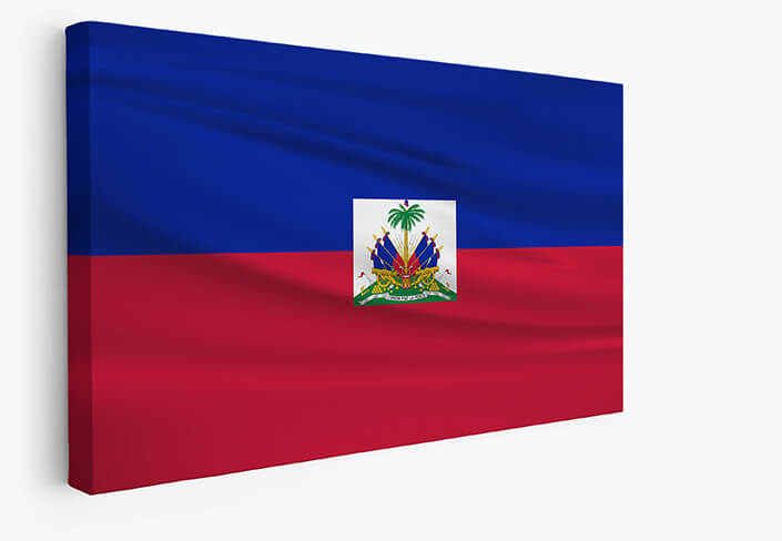 Web001 0037 mp 0012 haiti waving flag aoay4296
