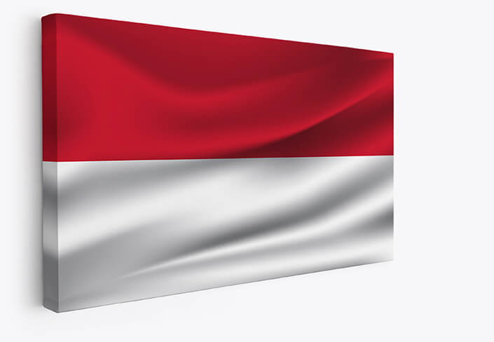 Web001 0042 mp 0007 indonesia waving flag aoay4051