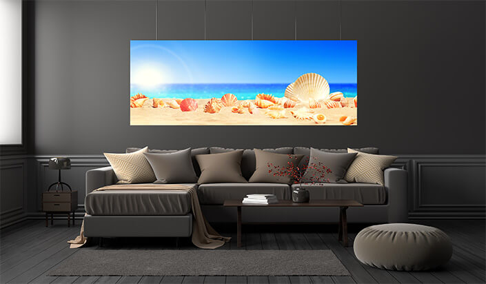 WEB01 0003 ML 0033 46944262 seashells on tropical beach summer holiday AOAY4427